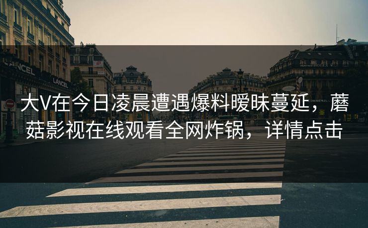 大V在今日凌晨遭遇爆料暧昧蔓延，蘑菇影视在线观看全网炸锅，详情点击