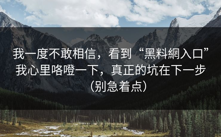 我一度不敢相信,看到“黑料網入口”我心里咯噔一下,真正的坑在下一步(别急着点)